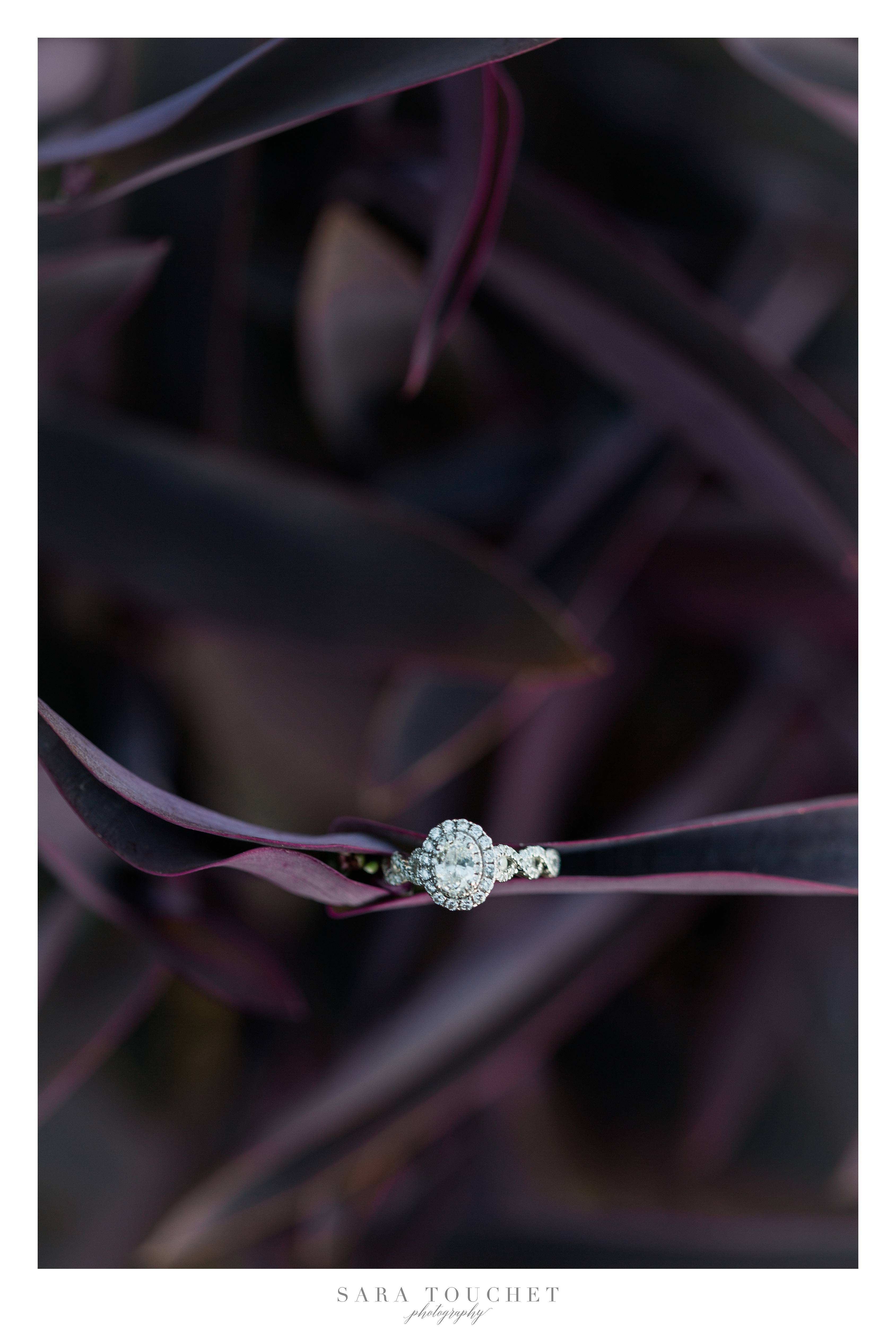 purple-engagement-ring-diamond