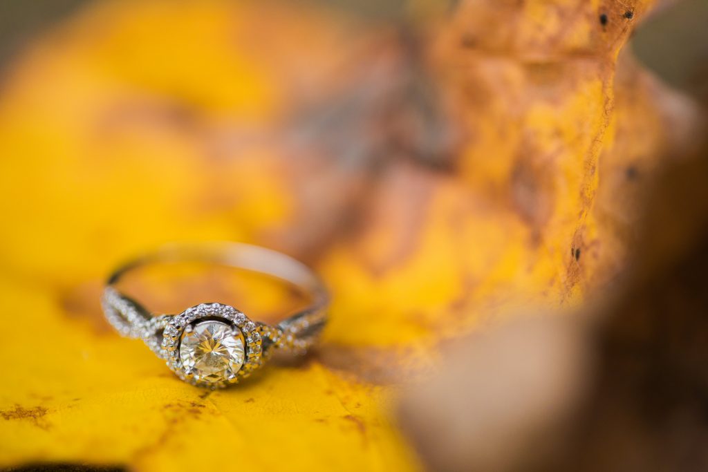 Engagement ring on fall leaf.